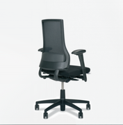 Axia 2.5 Mesh Back Ergonomic Chair.