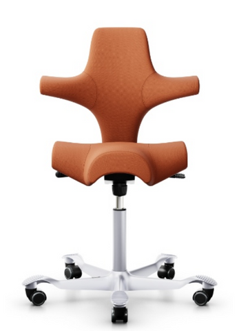 HAG Capisco Saddle Chair.