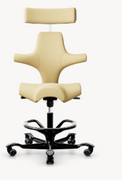 HAG Capisco Saddle Chair With Headrest.