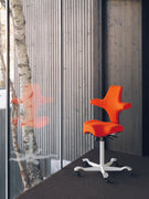 HAG Capisco Saddle Chair.