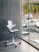 Hag Capisco Puls Saddle Chair.