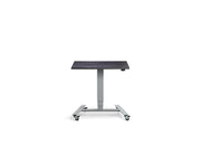 Extra Small Mobile Standing Desk - Dynamisk Skoot.