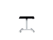 Extra Small Mobile Standing Desk - Dynamisk Skoot.