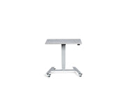 Extra Small Mobile Standing Desk - Dynamisk Skoot.