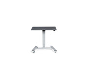 Extra Small Mobile Standing Desk - Dynamisk Skoot.