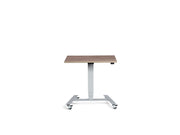 Extra Small Mobile Standing Desk - Dynamisk Skoot.