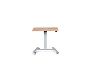 Extra Small Mobile Standing Desk - Dynamisk Skoot.