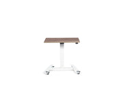 Extra Small Mobile Standing Desk - Dynamisk Skoot.