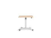 Extra Small Mobile Standing Desk - Dynamisk Skoot.
