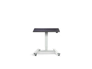 Extra Small Mobile Standing Desk - Dynamisk Skoot.