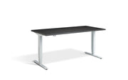 Sit Stand White Frame Desk - Dynamisk 2,.