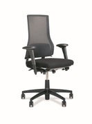 Axia 2.5 Mesh Back Ergonomic Chair.