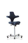 HAG Capisco Saddle Chair.