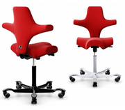 HAG Capisco Saddle Chair.