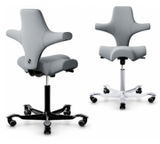 HAG Capisco Saddle Chair.
