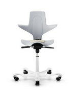 Hag Capisco Puls Saddle Chair.