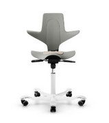 Hag Capisco Puls Saddle Chair.