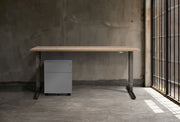 Dynamisk Retro Height Adjustable Desk UK.