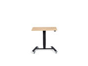 Extra Small Mobile Standing Desk - Dynamisk Skoot.