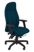 Access to Work Recommended, Spynamics SD11 Back Care Chair.