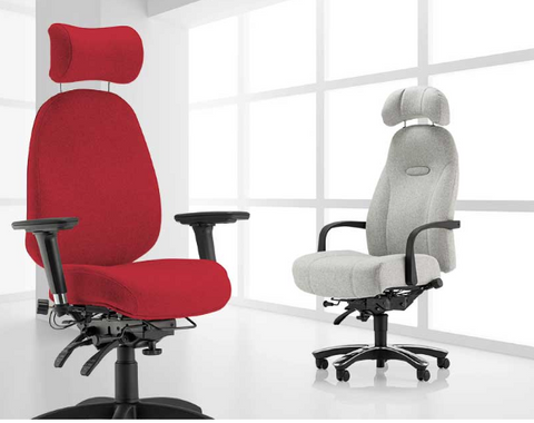 Spynamics Back Care Chair Virtual Assessment.