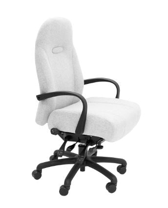 Grande 5, Extra Large Back Care Chair.