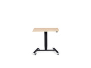 Extra Small Mobile Standing Desk - Dynamisk Skoot.