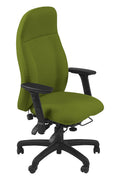 Access to Work Recommended, Spynamics SD11 Back Care Chair.