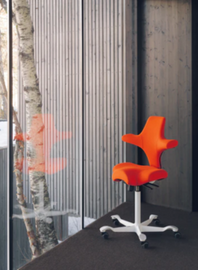 Ergonomic Seating/Back Care